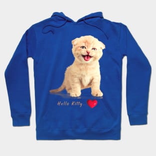 Hello Kitty Funny Cat Hoodie